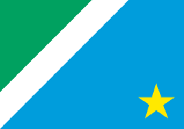 Bandeira do Mato Grosso do Sul